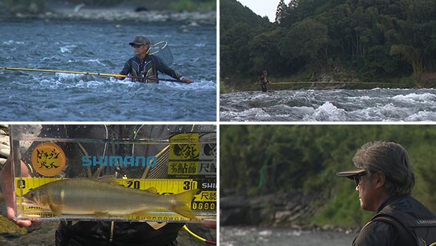 #521 夢のサイズが叶う場所!熊本県球磨川の尺鮎