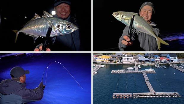#575 牡蠣筏で尺アジ連発！冬の愛媛県御荘湾でアジング