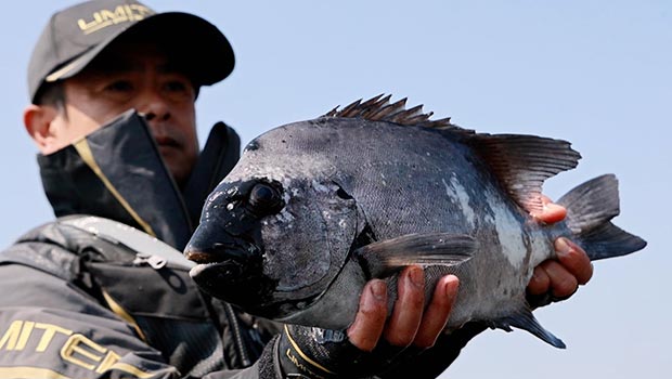 #590 遠投釣法で石鯛に挑む!長崎県対馬の磯で底物勝負