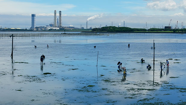 富津海岸潮干狩場