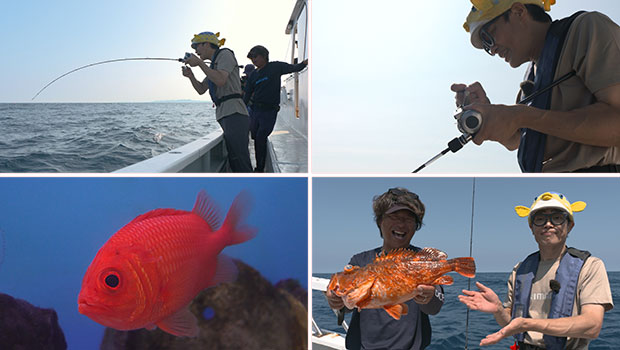 #597 さかなクンがスロー系ジギング初挑戦 千葉県館山沖でエビスダイを追う