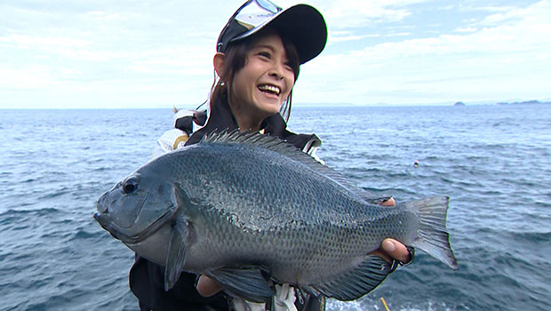 #616 女性磯釣り師が攻略！愛媛県宇和島市の磯釣り