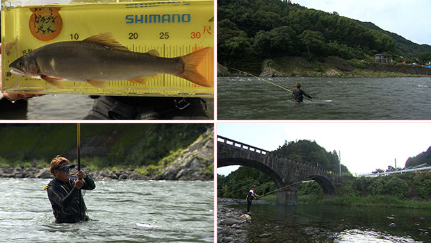#618 鮎師の夢のフィールド！九州の人気河川に大鮎を求めて